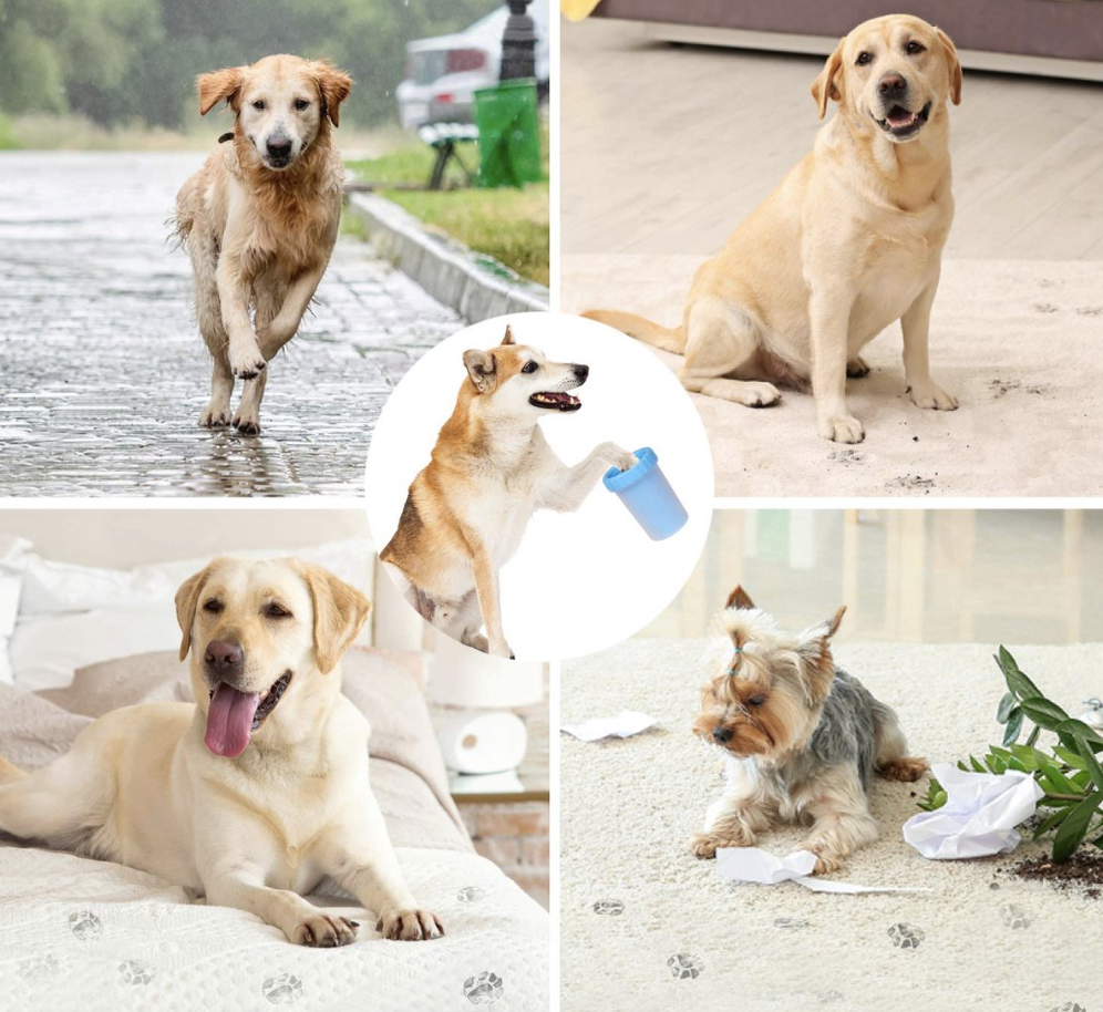 47aa1fd19ec4b7861444f359533b1407 47aa1fd19ec4b7861444f359533b1407